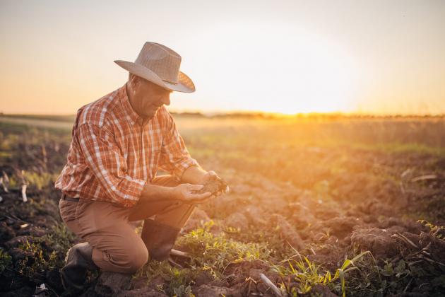 Washington County farmers can now apply for USDA drought aid