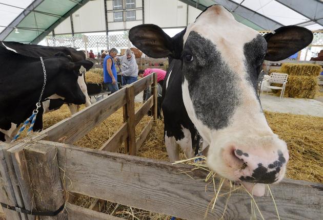 Salmonella warnings issued on raw milk, raw milk cheese from Chambersburg
