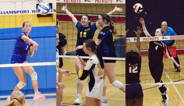 It's on to volleyball state finals for North Hagerstown, Williamsport and Clear Spring