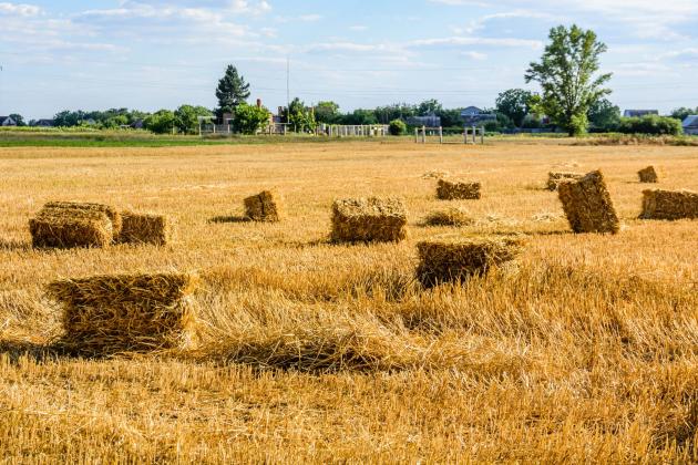 Washington County preserves 130-acre farm in Clear Spring