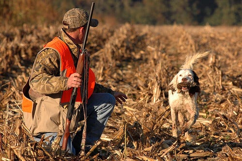 Maryland seeks public input on proposed hunting rules for 2026–28