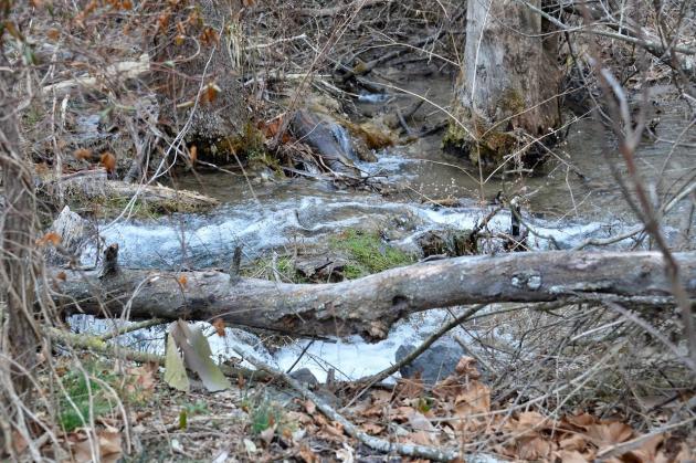 Maryland officials submit concerns to DHS about ICE detention project