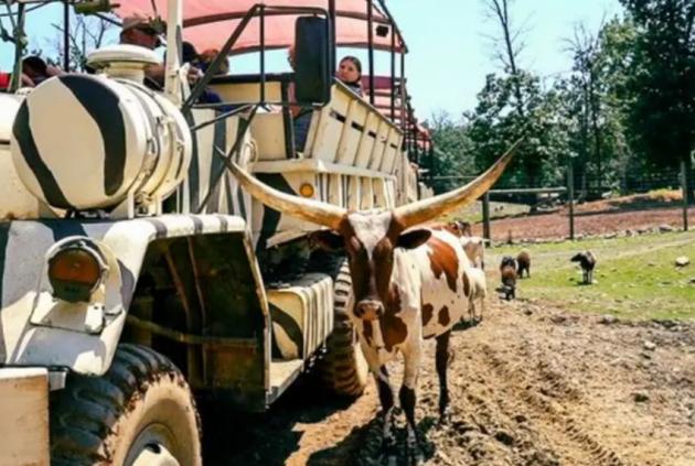 Catoctin Wildlife Preserve makes USA TODAY 10BEST list. Learn why