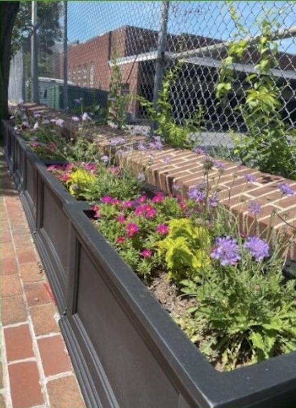 Two Earth Day events aim to refresh planters in downtown Hagerstown