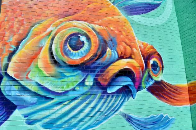 Christian Stanley describes his giant goldfish mural