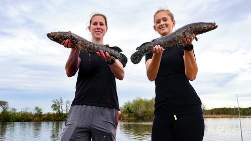 Maryland opens fishing to everyone on three license‑free days this summer