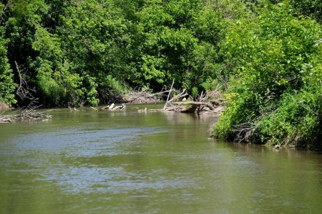 Maryland seeks input on land and recreation plan through June 28