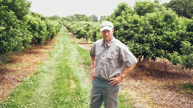Disaster declared to aid MD farmers in Washington County, Lower Shore