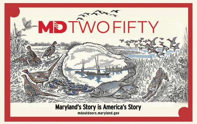 Maryland debuts limited-edition license card for 250th