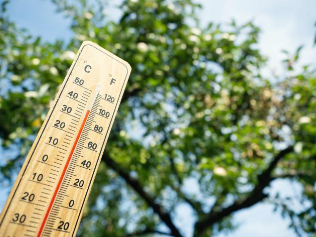 Heat advisory possible Wednesday for Hagerstown, Chambersburg areas