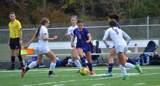 These 26 Washington County high school girls athletes are unsung heroes