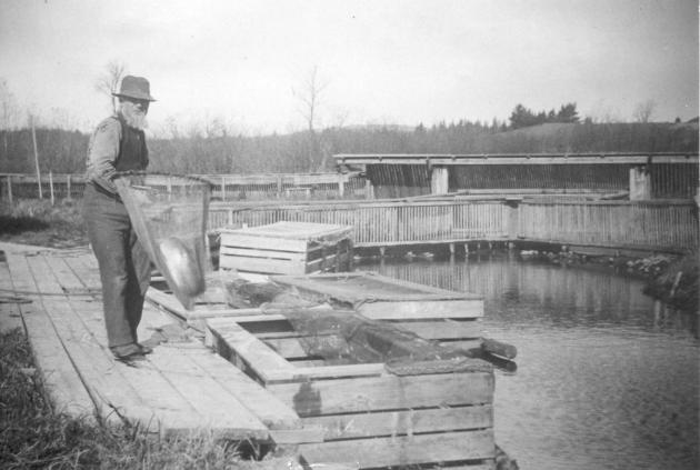 Atlantic salmon research lectures coming to Shepherdstown